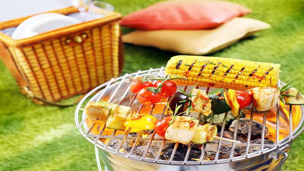 یک نیک های مسافرتی با سوخت جایگزین